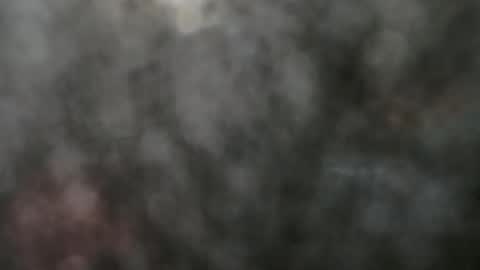 Jhon wich2 online show from February 10, 5:30 pm