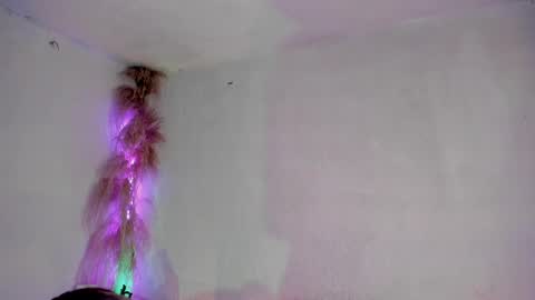 jianilnescoth online show from February 10, 1:01 pm