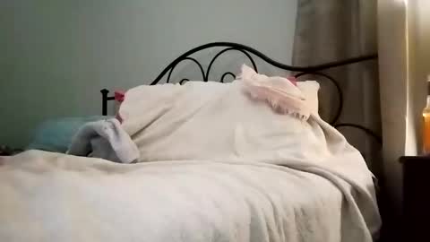 Snapshot of jimz169 chatting on January 4, 3:18 am Jimz14u online show from January 4, 3:18 am