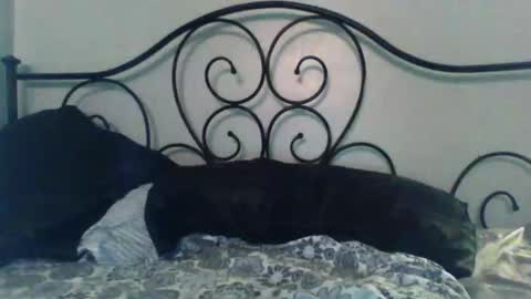 Snapshot of jimz169 chatting on May 3, 2:06 am Jimz14u online show from May 3, 2:06 am