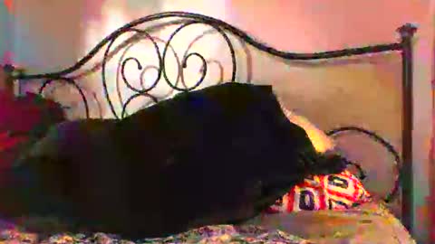 Snapshot of jimz169 chatting on June 4, 12:27 am Jimz14u online show from June 4, 12:27 am