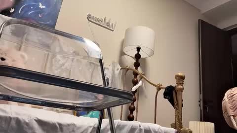 meng meng online show from February 4, 2:45 pm