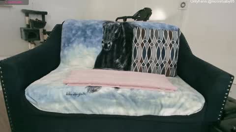 Snapshot of jjjust4fun1985 chatting on January 1, 10:24 pm Nicole Allen online show from January 1, 10:24 pm