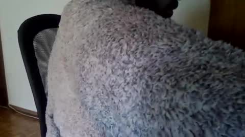 joaodias_18 online show from December 13, 2:16 pm