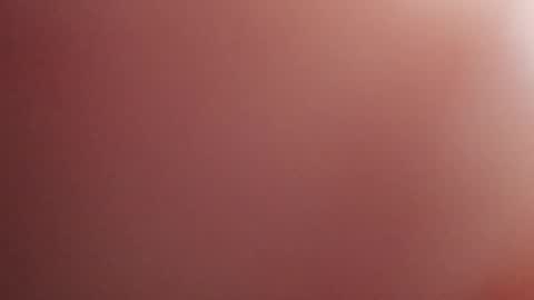 Snapshot of joeevanski chatting on November 22, 12:09 am joeevanski online show from November 22, 12:09 am