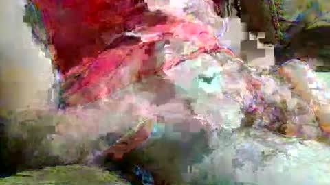 john249148 online show from May 15, 1:34 am