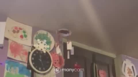 Snapshot of johnnyshung1 chatting on December 16, 9:57 am johnnyshung1 online show from December 16, 9:57 am