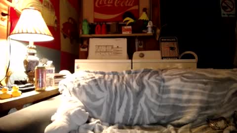 Snapshot of johstondude chatting on July 14, 2:05 am Johston online show from July 14, 2:05 am