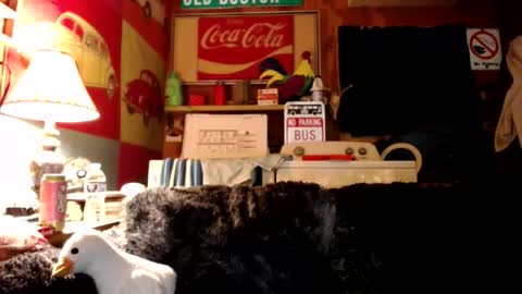 Snapshot of johstondude chatting on July 27, 1:34 am Johston online show from July 27, 1:34 am