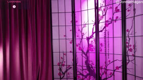 Snapshot of jonniehagard chatting on December 5, 12:30 am Jonnie Hagard online show from December 5, 12:30 am