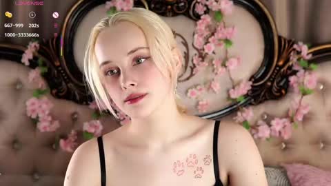 Alice online show from April 17, 11:13 am