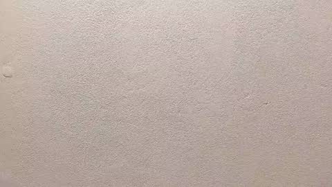 Snapshot of joseph_palacios chatting on September 13, 6:51 pm joseph palacios online show from September 13, 6:51 pm