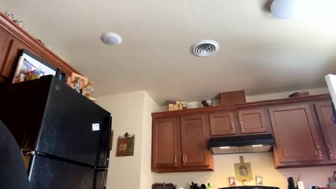 Snapshot of josephung1 chatting on January 17, 8:22 pm sissy josphine online show from January 17, 8:22 pm