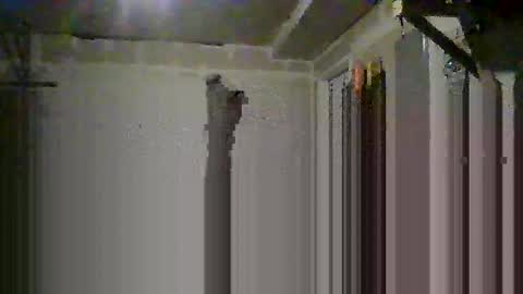 Snapshot of josephung1 chatting on October 14, 6:36 am sissy josphine online show from October 14, 6:36 am