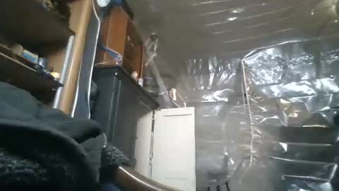 Snapshot of josephung1 chatting on November 28, 5:32 am sissy josphine online show from November 28, 5:32 am