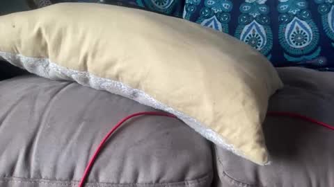 Snapshot of joshperrygoon chatting on December 19, 7:29 pm joshperrygoon online show from December 19, 7:29 pm