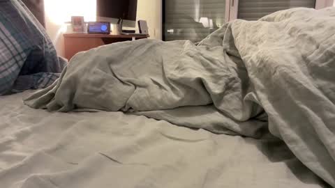 Snapshot of jpr07 chatting on November 10, 5:50 am jpr07 online show from November 10, 5:50 am