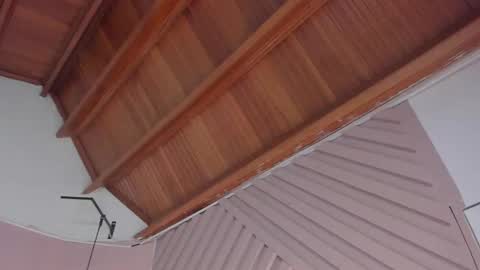 Juana online show from April 10, 11:15 am