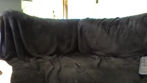 juanmamestre94 online show from April 7, 3:01 pm