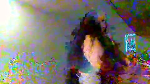 Snapshot of juicylatinabbw chatting on February 20, 4:07 pm juicylatinabbw online show from February 20, 4:07 pm