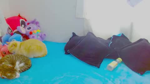 Snapshot of juli_69 chatting on January 7, 6:32 pm Juliana Torres online show from January 7, 6:32 pm