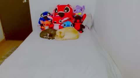 Snapshot of juli_69 chatting on February 25, 8:29 pm Juliana Torres online show from February 25, 8:29 pm