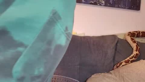 Snapshot of julia_official chatting on November 7, 5:02 pm julia_official online show from November 7, 5:02 pm