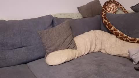 Snapshot of julia_official chatting on November 11, 10:21 pm julia_official online show from November 11, 10:21 pm