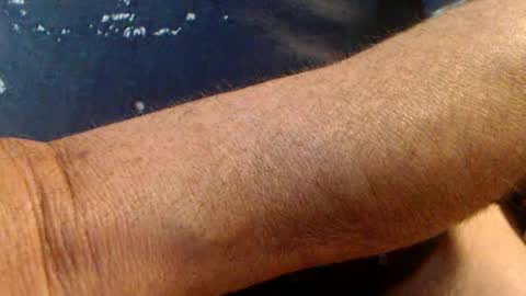 Werner online show from February 16, 4:53 pm