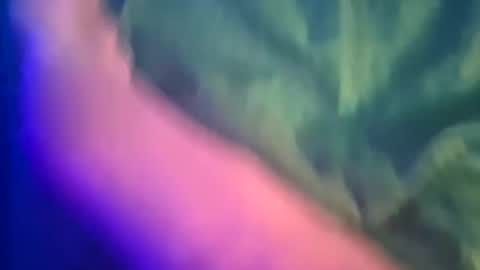 Snapshot of just4funfunfun87 chatting on March 8, 12:11 am Yuri online show from March 8, 12:11 am