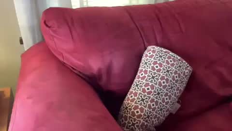 Snapshot of just4you101 chatting on March 1, 6:11 pm Flirty influncer online show from March 1, 6:11 pm