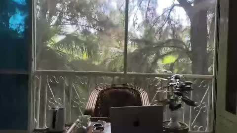 Snapshot of just_place chatting on December 2, 6:19 am just_place online show from December 2, 6:19 am