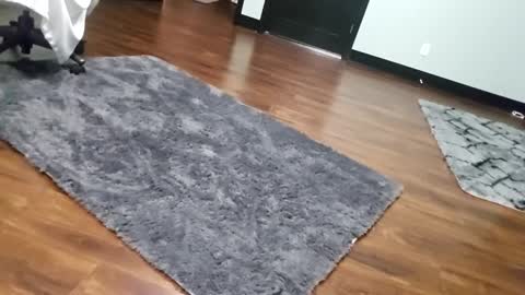 Tohiptwoquit online show from January 15, 6:07 am