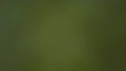 Snapshot of justbuff4 chatting on January 23, 5:10 pm McKeefer online show from January 23, 5:10 pm