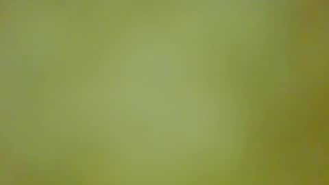 Snapshot of justbuff4 chatting on September 13, 5:46 pm McKeefer online show from September 13, 5:46 pm