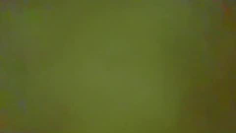 Snapshot of justbuff4 chatting on February 25, 2:37 pm McKeefer online show from February 25, 2:37 pm