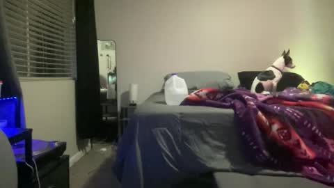 JustinCase online show from April 19, 8:24 am