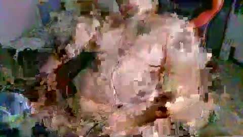 Snapshot of juteja chatting on September 13, 10:20 pm juteja online show from September 13, 10:20 pm