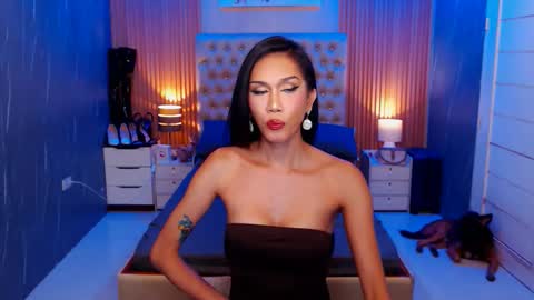 Jynx online show from November 15, 12:52 am