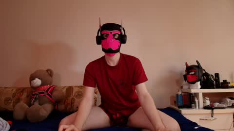 Snapshot of k9_goodboy chatting on May 31, 1:07 pm Alex online show from May 31, 1:07 pm