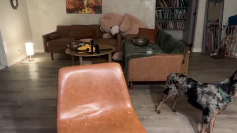 Kailee Smile online show from March 6, 4:53 am