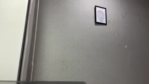 Sakura online show from April 8, 3:34 pm