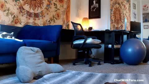 Tara Smith online show from January 14, 10:02 pm