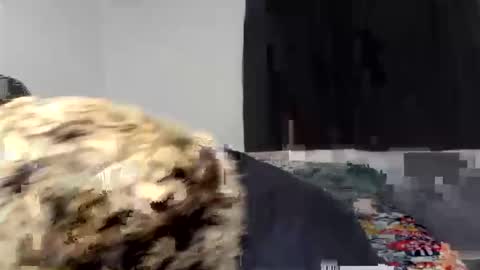 kammy   y   camila online show from April 9, 12:54 am