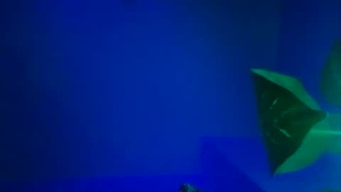 Snapshot of karla_gonzaless chatting on November 9, 6:44 am Karla Gonzaless online show from November 9, 6:44 am