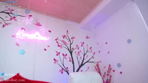 Snapshot of karolkat_1 chatting on December 12, 5:26 pm Karolina 3 online show from December 12, 5:26 pm