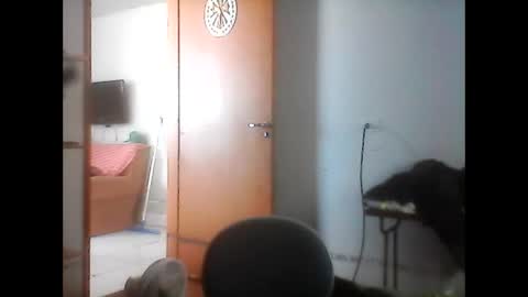 kasadocarente online show from January 17, 4:22 pm