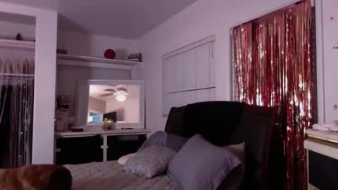 sexykat online show from October 7, 7:38 am