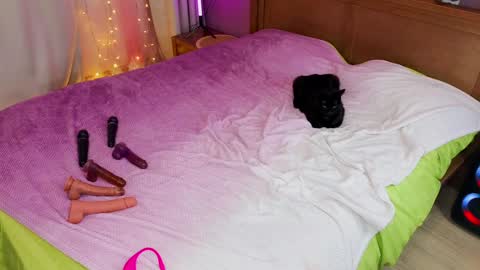 Snapshot of kate_sexhouse chatting on December 5, 12:22 pm Kate Sex-House MILA WAYGMT2 MonTue 0300am-1500am online show from December 5, 12:22 pm