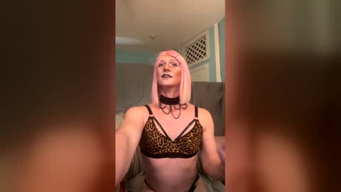 katiebabykitty online show from May 22, 1:35 am